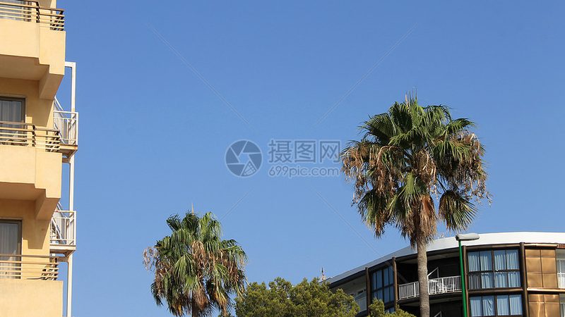 广州国内游定制流程：轻松规划您的完美之旅**